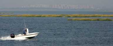 Jamaica Bay marshes washing away with tides