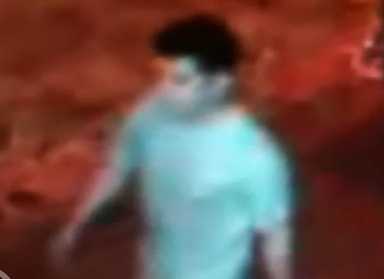 Cops seek Bayside attempted rapist