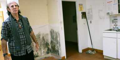 Six months after blaze Rego Park vet fights to reopen