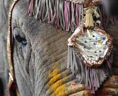 VIDEO: Ganesh Mandir in Flushing is consecrated