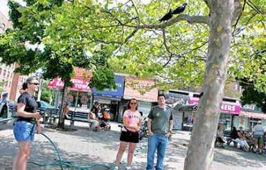 67th Rd. benches cleaned