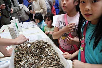 Y Earth Day focuses on food