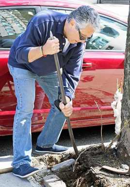 Kew Gardens group uses grant to plant flowers