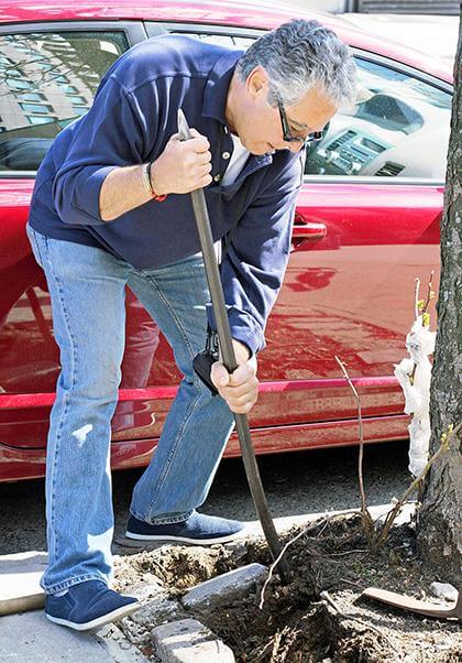 Kew Gardens group uses grant to plant flowers