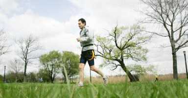 Sri Chinmoy marathon hosts runners at boro park