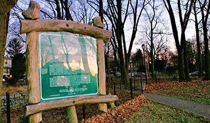 Activist wants Flushing cemetery’s look restored