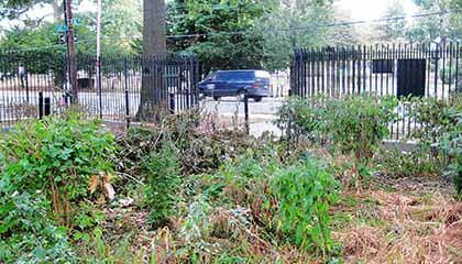 Martins Field neglected as city gravesite