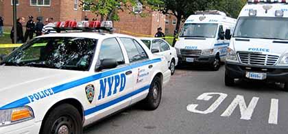 Man found shot dead in Pomonok