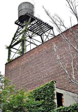 Koo calls on city to inspect