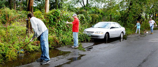 Civic CURES Edsall eyesore