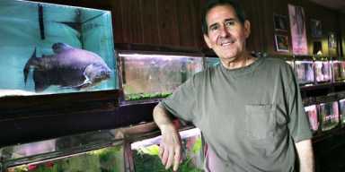 Richmond Hill fish has will to live