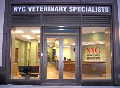 Forest Hills gets 24âˆ’hour animal E.R.