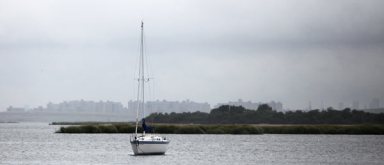 Experts weigh in on the future of Jamaica Bay at forum