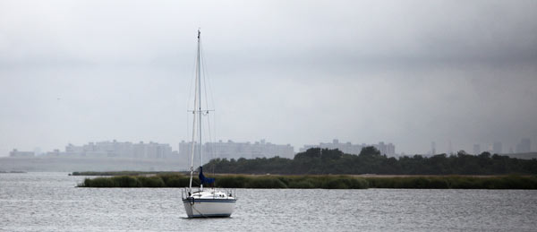 Experts weigh in on the future of Jamaica Bay at forum