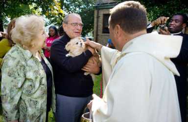Even more pet blessings