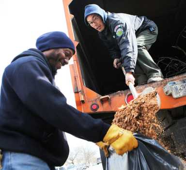 Hundreds of trees chopped up at Kissena Park