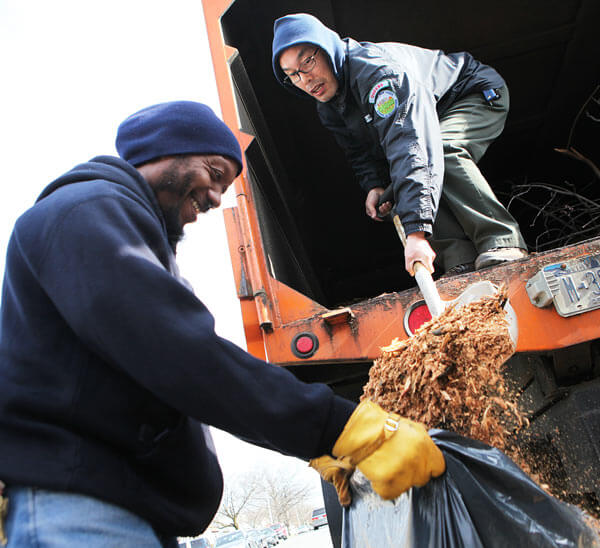 Hundreds of trees chopped up at Kissena Park