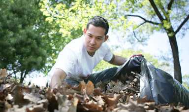 Queens Library invites you to leave your leaves