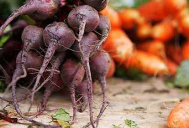 Greenmarket in Doug set to sell tri-state fare