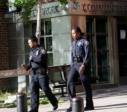 Baisley woman killed in apt.