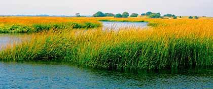 JFK expansion would hurt bay: Ecowatchers
