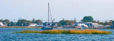 Make Jamaica Bay discharge-free: City