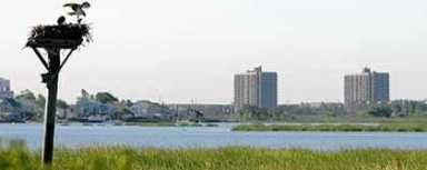 City to convert algae to biofuel in project at Rockaway plant