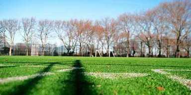 Park is still too full: Civics