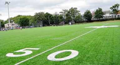Falcons hope for lights at Ridgewood park