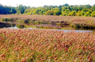 Reservoir plans in limbo