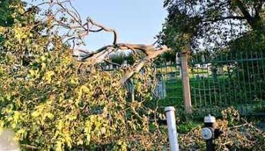 Community remove All Faiths Cemetery debris