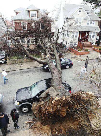 Storm cuts power, downs trees