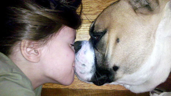 Ozzy crowned winner of third Queens Critters contest