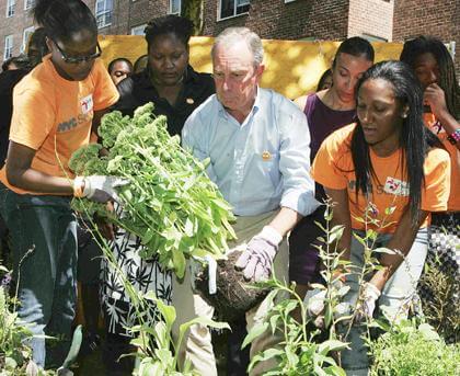Mayor praises Jamaica teens for helping others