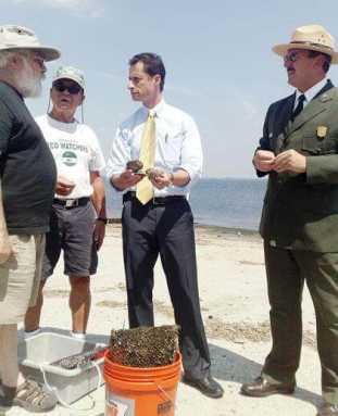 Oysters test out waters of Jamaica Bay