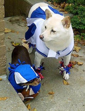 Pups win Whitestone costume contest