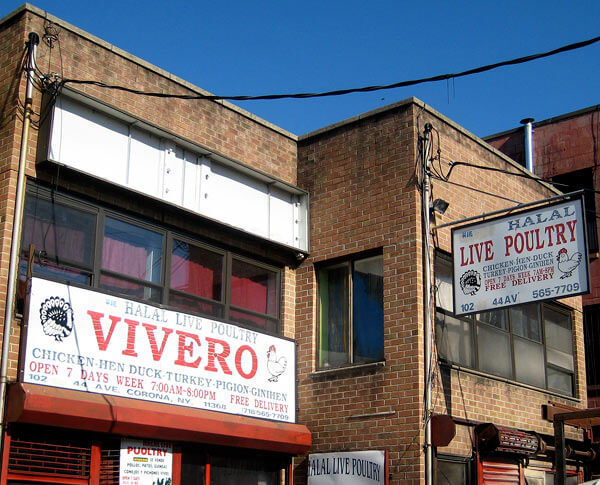 Corona shop sold uninspected poultry to groceries: Feds