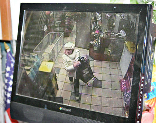 Pet store seeks stolen puppy