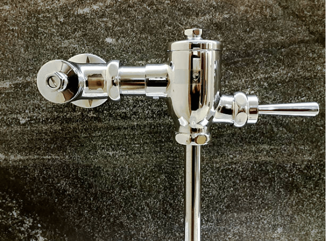 toilet flush mechanism – GETTY