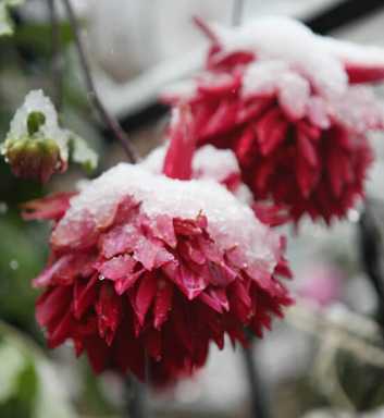 Say it’s not snow!