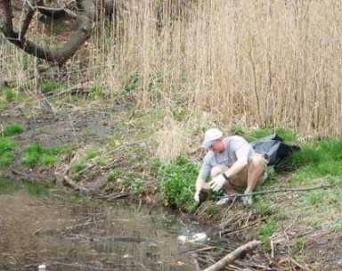 Padavan’s ecoâˆ’watchdog a patronage tool: Stavisky