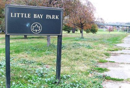 Upgrades to let dogs get their day in Little Bay Park
