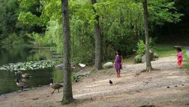 Doug sewer filter set for Nov ’10 completion