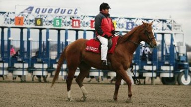 Vegas group nixes proposal for Aqueduct