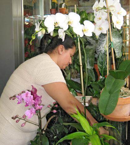 Forest Hills businesses hurting, not crippled