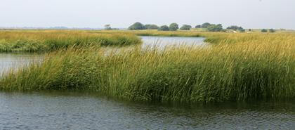 DEP reports modest progress on Jamaica Bay rehab