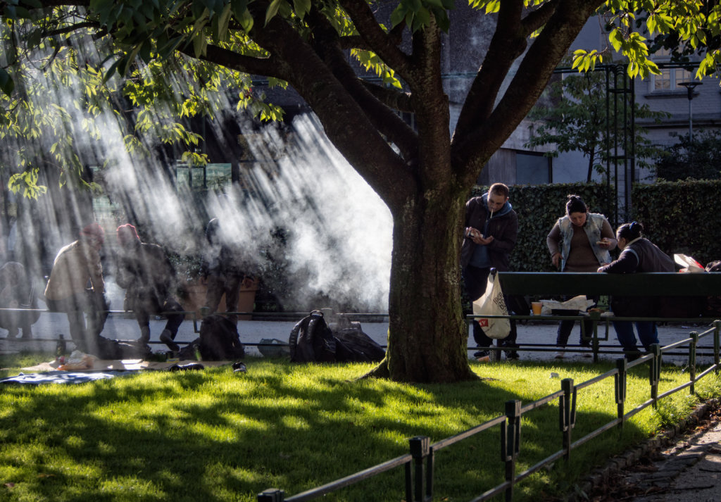 smokey park queens holi 2025