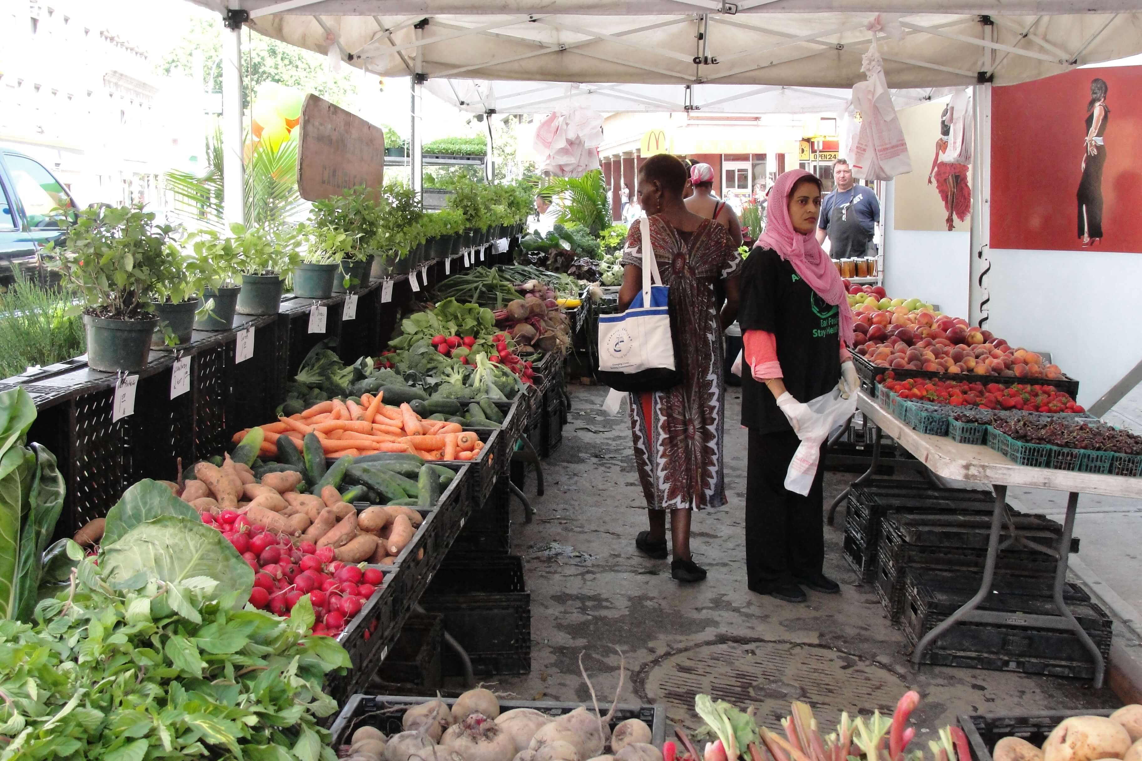 Down to Earth Farmers Markets returns this season in Fresh Meadows ...