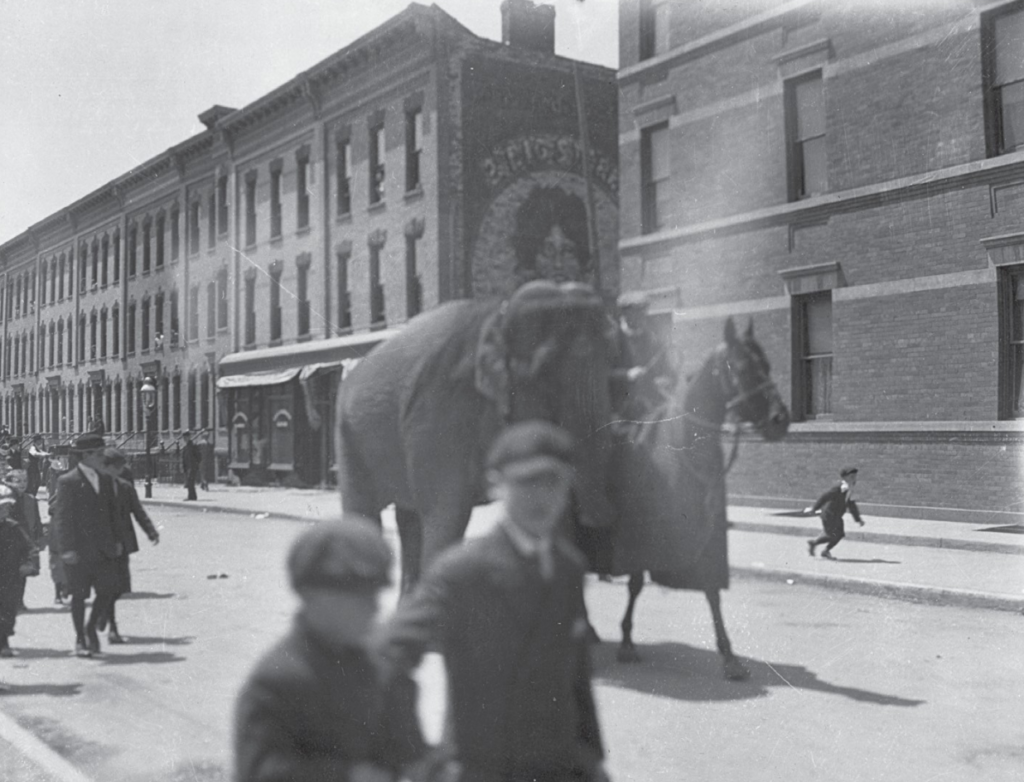 The picture above shows an elephant being led north along Cypress Avenue near Cornelia Street toward the circus grounds. Kreuscher’s Hotel, a landmark establishment in the area, is pictured in the background. Kreuscher’s raised a tent just for the occasion to handle the overflow crowd of customers attending the circus parade.