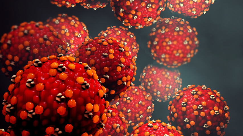 A 3-D illustration of the Measles virus